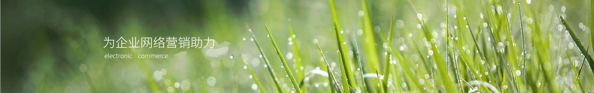 ذ޹˾